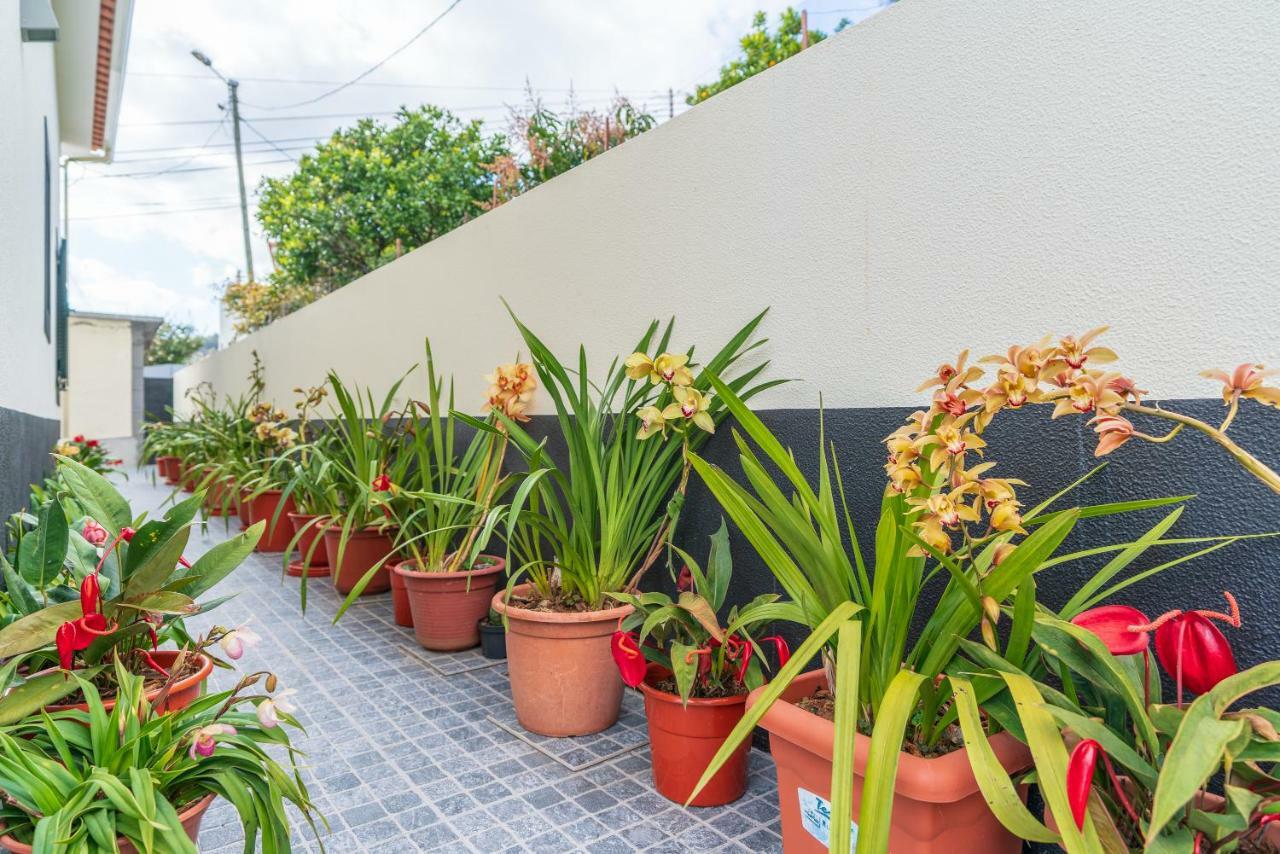 Villa Casa Ventura Arco da Calheta  Exterior foto